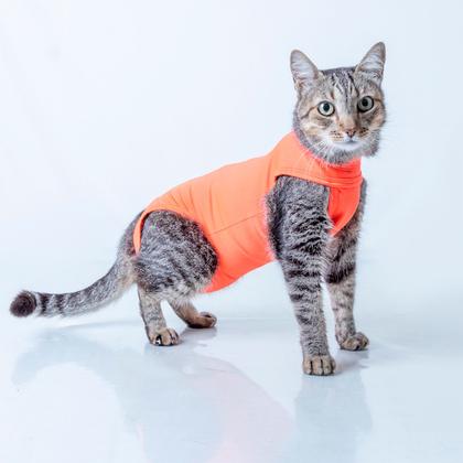 Imagem de Roupinha para Gatos Protetora e Pós-Cirúrgica Pet Freedom Nº 02