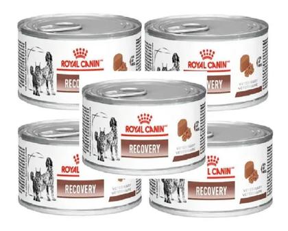 Imagem de Royal Canin 5 Latas Recovery Para Cães E Gatos Pett