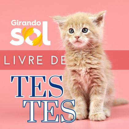 Imagem de Sabão Em Barra Neutro Girando Sol 1Kg, Sabão Neutro Em Barra Multiuso, Amarelo, Com Pura Glicerina, Rende E Dura Mais, S