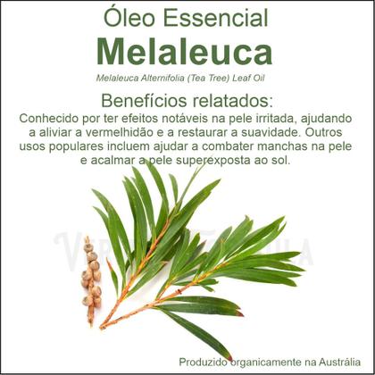 Imagem de Sabonete Artesanal de Algas Marinhas  Algas em Pó, Manteiga de Ucuuba, Óleo de Castanha do Pará e Óleos Essenciais de Alecrim, Gerânio e Melaleucaa