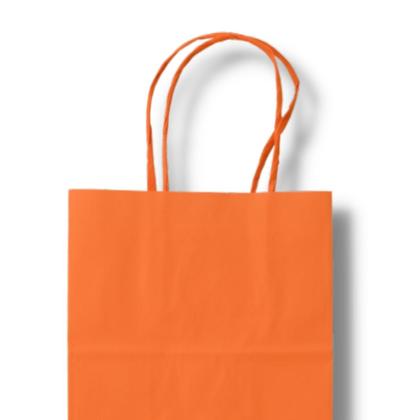 Imagem de Sacola de papel Kraft várias cores com 10 Unidades