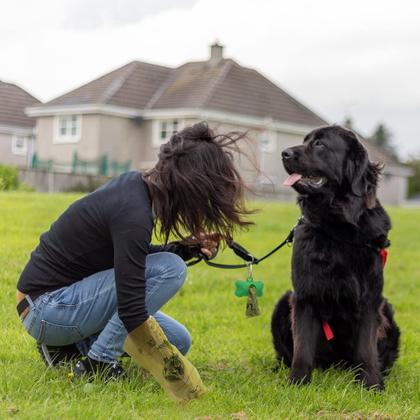 Imagem de Sacos de cocô de cachorro Ley's 360 unidades biodegradáveis com dispensador