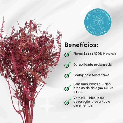 Imagem de Samambaia Barranco Pink Desidratado