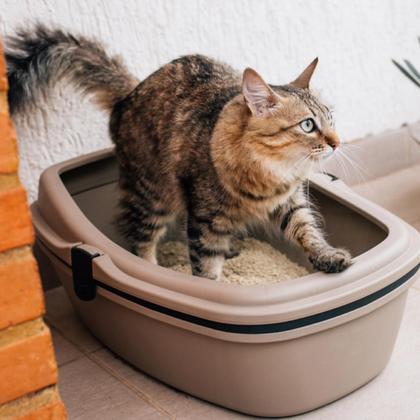 Imagem de Sanitário Furba Caixa De Areia Gatos Com Aba Trava Médio 4x1