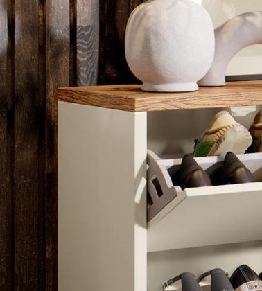 Imagem de Sapateira Hall Entrada / Quarto Com 2 Portas Basculantes Mell Cores