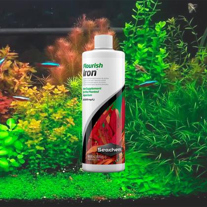 Imagem de Seachem Flourish Iron 250ml Fertilizante de Ferro para Aquário Plantado