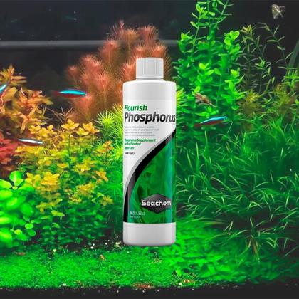 Imagem de Seachem Flourish Phosphorus 250ml Fertilizante Fósforo Aquário Plantado