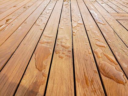 Imagem de Selador de Teca Star Brite Natural Light 946ml