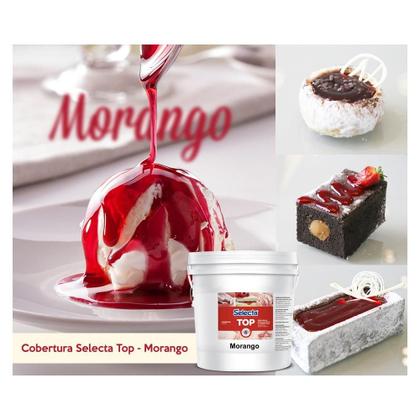 Imagem de Selecta Top Morango Balde com 4 Kg