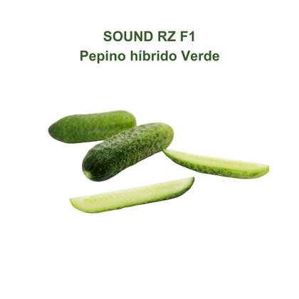 Sem. Pepino Híb. Sound F1 RZ Caipira 1.000 Sementes - Rijk Zwaan