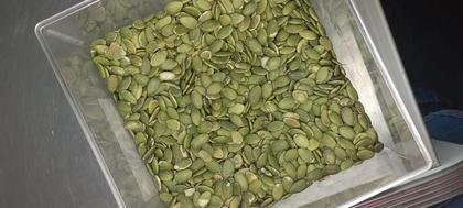 Imagem de Semente de Abóbora Crua Sem casca Premium