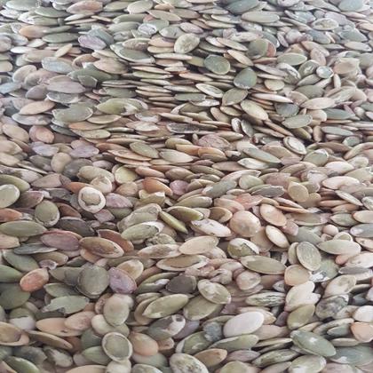 Imagem de Semente de Abóbora Torrada Sem Sal Sem Casca 1kg