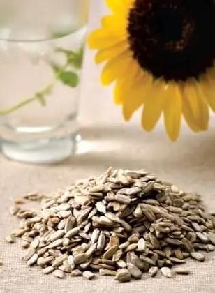 Imagem de Semente de Girassol sem casca Crua sem sal Pacote 500 grs