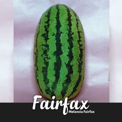 Imagem de Semente de Melancia Fairfax Horticeres - 100g