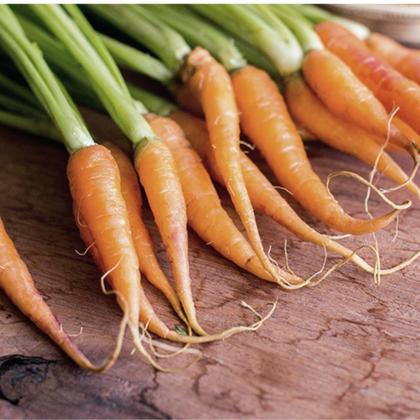 Imagem de Sementes Cenoura Baby TOPSEED