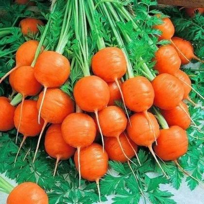 Imagem de Sementes Cenoura Planeta (Bolinha) TOPSEED