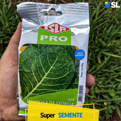 Imagem de Sementes Couve Manteiga de Georgia Isla 50g Kit 4 un