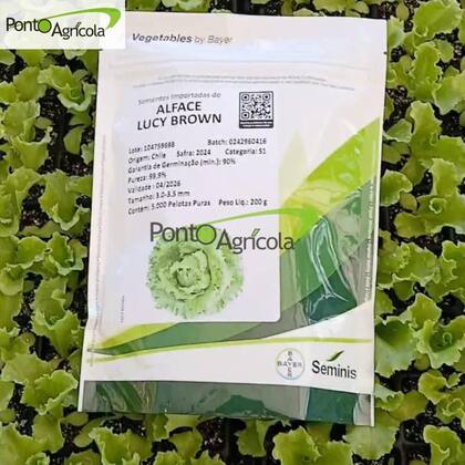 Imagem de Sementes De Alface Americana Lucy Brown 5.000 sementes