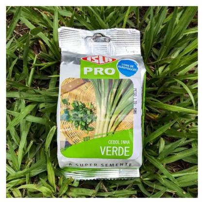 Imagem de Sementes de Cebolinha Verde (50g) ISLA