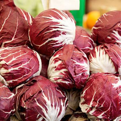Imagem de Sementes de Chicória Palla Rossa Precoce Blueline TOPSEED