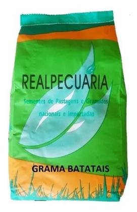Imagem de Sementes Incrustadas De Grama Batatais 1 Kg + 2,5kg De Adubo