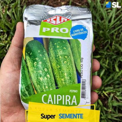 Imagem de Sementes Pepino Caipira Isla 50g Kit 6 Un