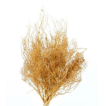 Imagem de Sementinha Laranja Flores Secas Decorar Presente