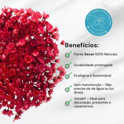 Imagem de Sempre Vivas Vermelho Lembrança, Decoração 1200 Flores