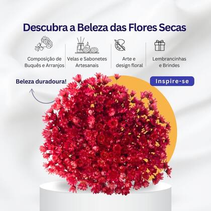 Imagem de Sempre Vivas Vermelho Lembrança, Decoração 1200 Flores