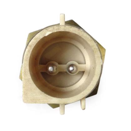 Imagem de Sensor temperatura Escort Pampa Verona Gol Pointer 2 pinos