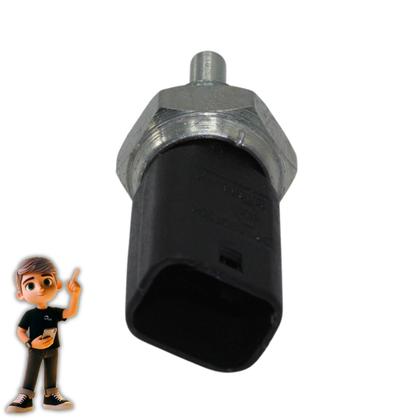 Imagem de Sensor Temperatura Renault Clio Duster Kangoo Megane Scenic