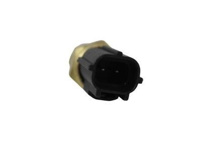 Imagem de Sensor temperatura tr 4 (20001/...)
