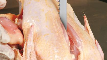 Imagem de Serra Fita para carne e Osso C/ 2,20 M