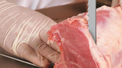 Imagem de Serra Fita para carne e Osso de Inox C/ 2,06 M