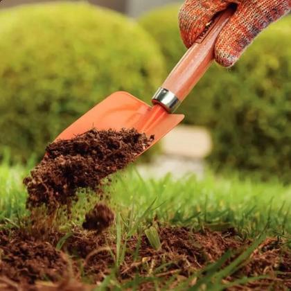 Imagem de Serrote Poda Serra Cabo Extensor 6mt Tesoura e Conjunto Jardinagem