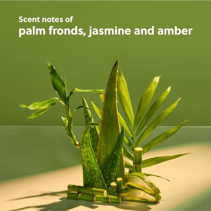 Imagem de Sérum Corporal Tree Hut Palm Grove Hydraglow 325 ml