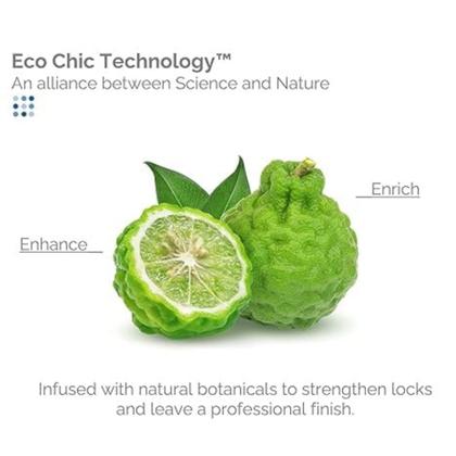 Imagem de Sérum para cabelo GIOVANNI ECO CHIC Frizz Be Gone Anti-Frizz 80 ml