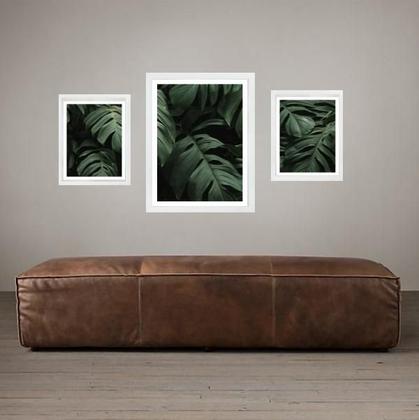 Imagem de Set 3 Quadros Folhas - Costela De Adão - Com Vidro