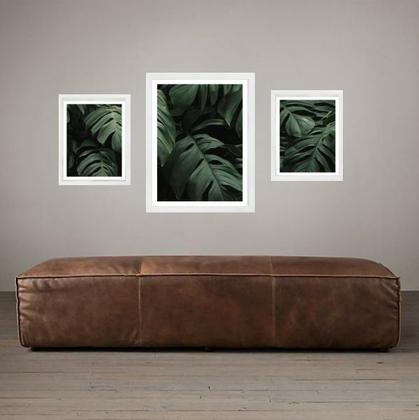Imagem de Set 3 Quadros Folhas - Costela De Adão - com vidro