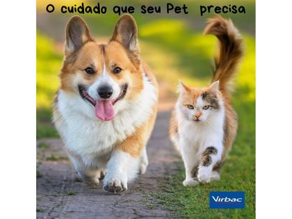 Imagem de Shampoo Allermyl Glyco 500ml - Virbac - 2 Unidades