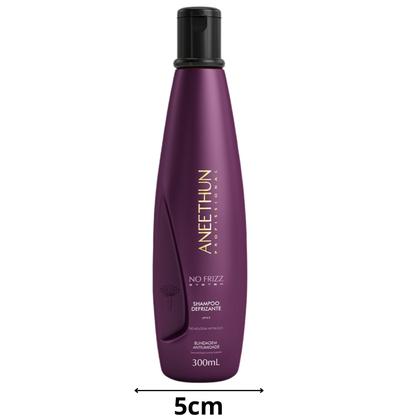 Imagem de Shampoo Aneethun Defrizante No Frizz System 300Ml WetBlock
