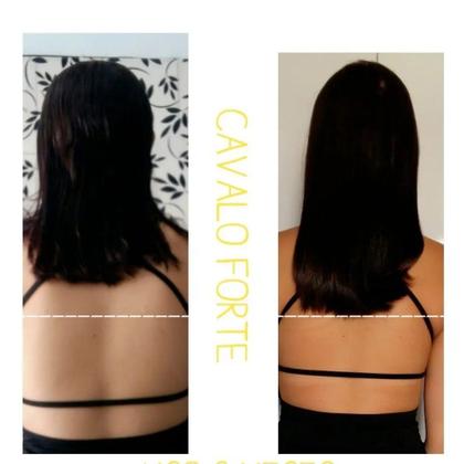 Imagem de Shampoo Haskell Cavalo Forte 1 Litro