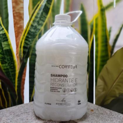 Imagem de Shampoo Hidratante e Reconstrutor Divine Coiffeur 5 litros