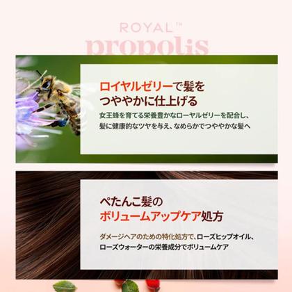 Imagem de Shampoo Kerasys Royal Própolis Vermelho Volume 1L