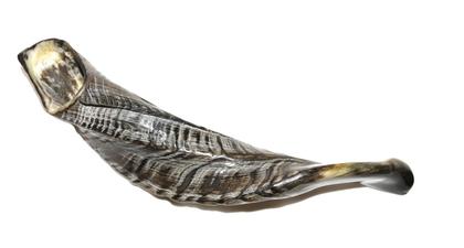 Imagem de Shofar Chifre De Carneiro De Tocar PRETO - 25 A 29 Cm - De Israel