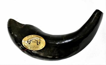 Imagem de Shofar Chifre De Carneiro De Tocar PRETO - 25 A 29 Cm - De Israel