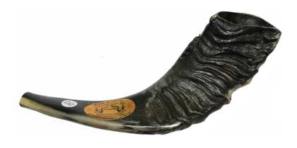 Imagem de Shofar Chifre De Carneiro De Tocar PRETO - 25 A 29 Cm - De Israel