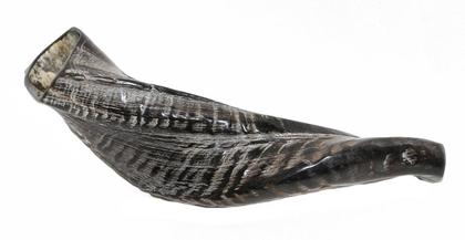 Imagem de Shofar Chifre De Carneiro De Tocar PRETO - 25 A 29 Cm - De Israel