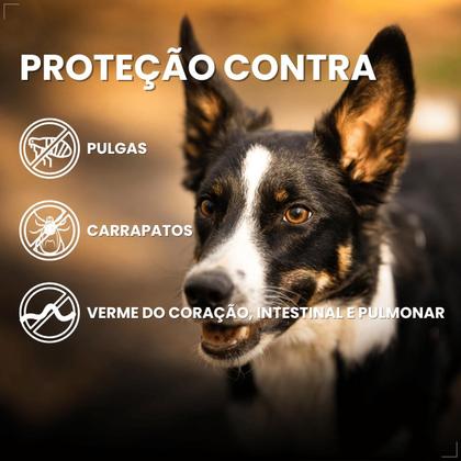 Imagem de Simparic TRIO Cão 10,1 a 20kg Vermífugo Pulga Carrapato 1com Quantidade:1comp