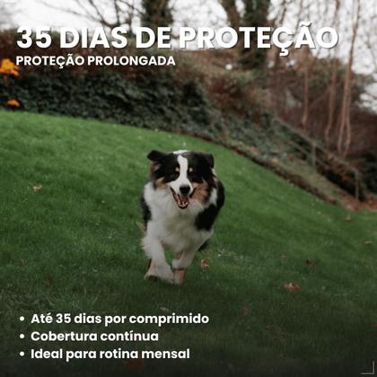  thumbnails-3